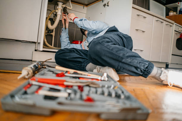 Best Local Plumber Services  in Southfield, MI